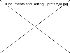wp225a4e88.png